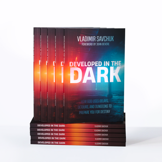 Developed in the Dark (Bundle)